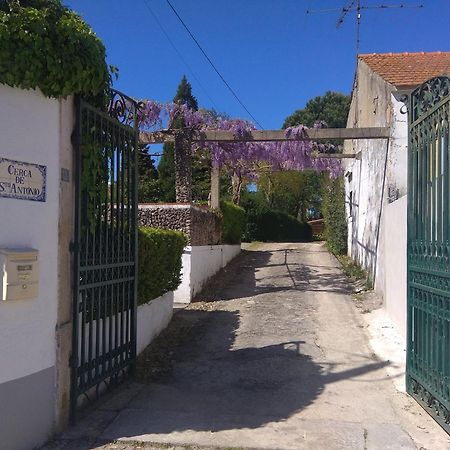 Casa Dos Arrabidos Guest House Torres Novas Luaran gambar