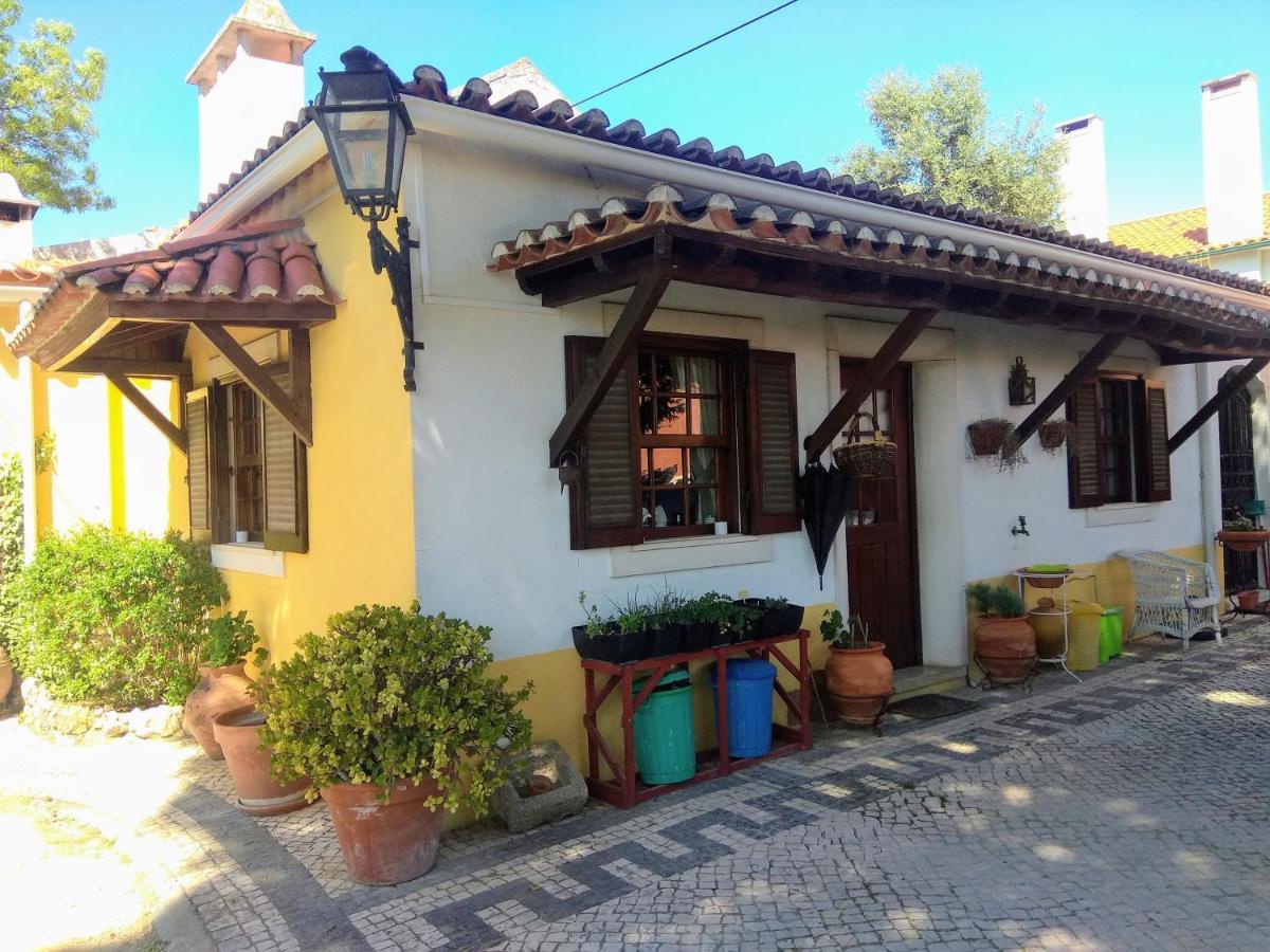 Casa Dos Arrabidos Guest House Torres Novas Luaran gambar