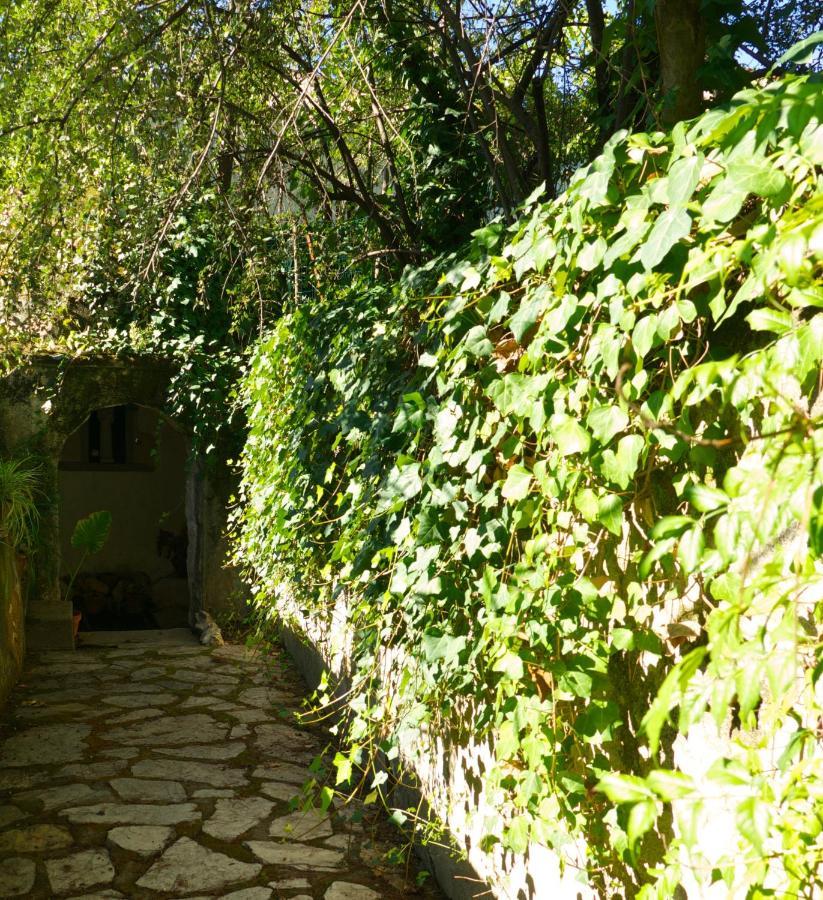 Casa Dos Arrabidos Guest House Torres Novas Luaran gambar