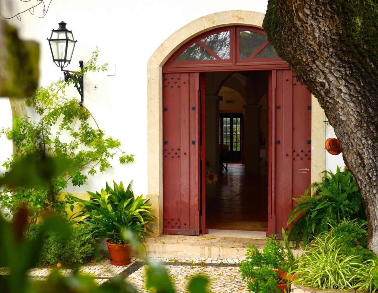 Casa Dos Arrabidos Guest House Torres Novas Luaran gambar