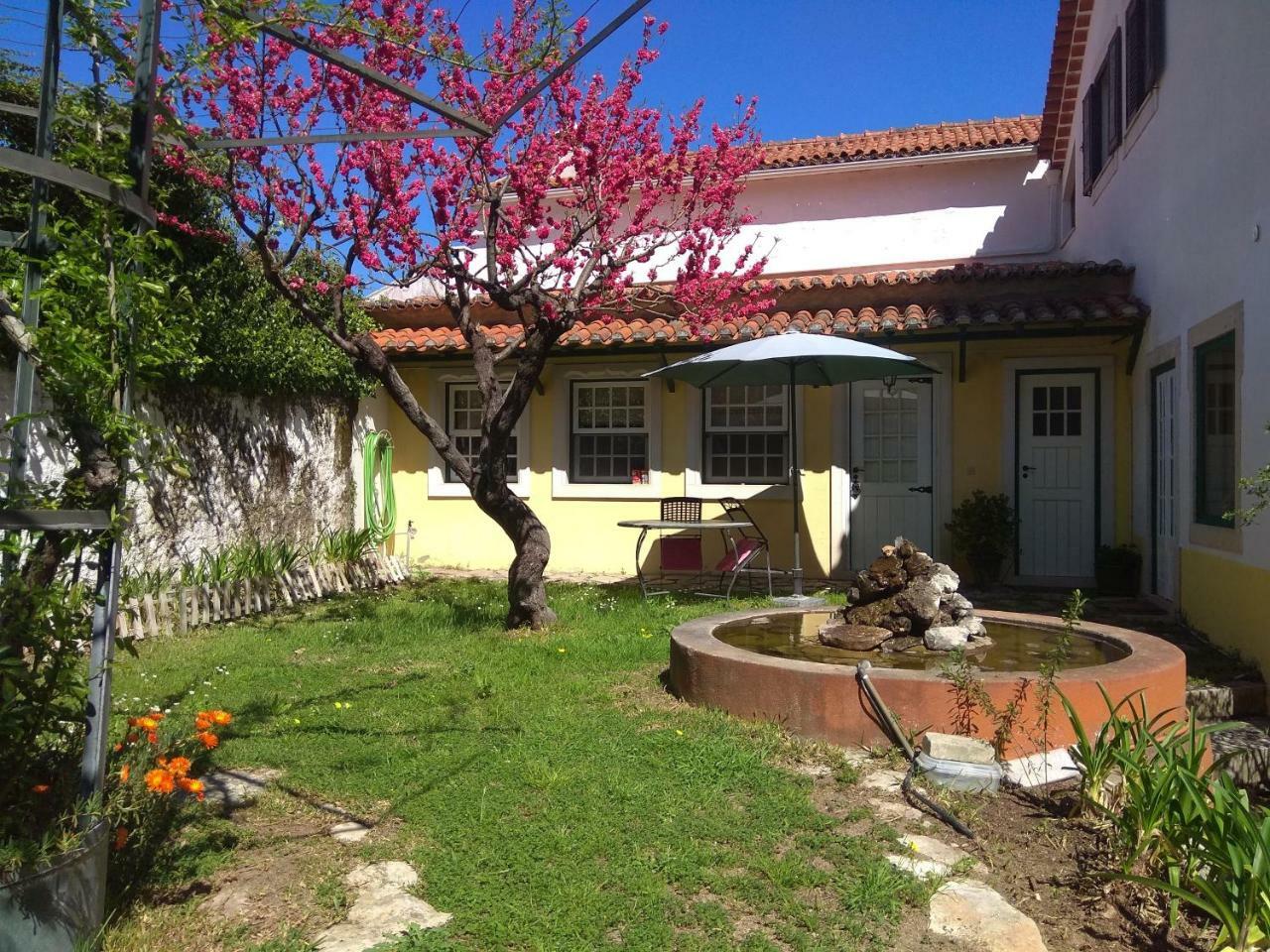 Casa Dos Arrabidos Guest House Torres Novas Luaran gambar